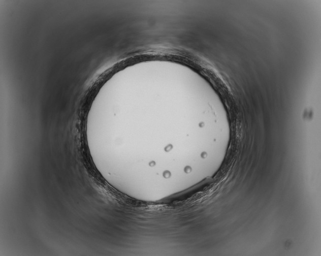 X0000099941304200806201111