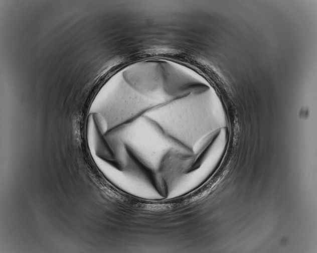 X0000099941305200806201111