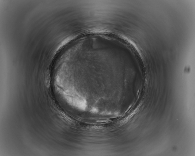 X0000099941306200806201111