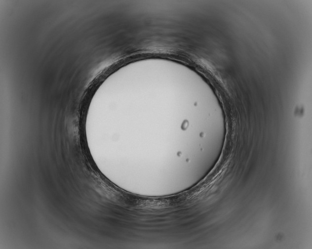 X0000099941307200806201111