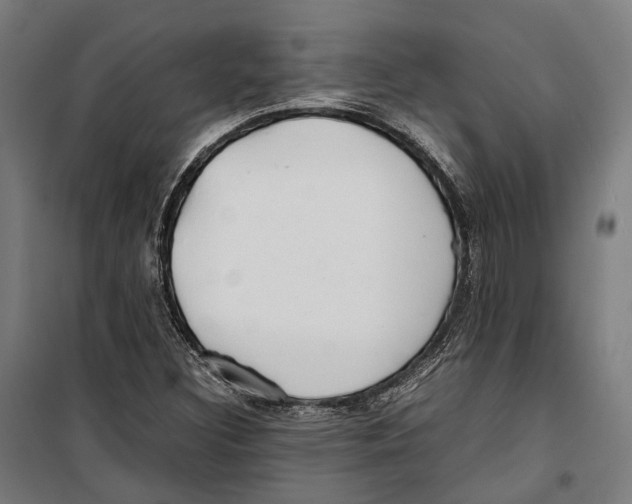 X0000099941308200806201111