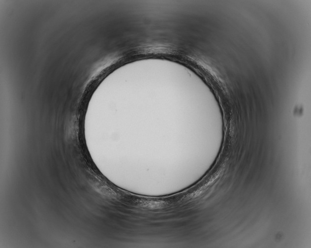 X0000099941309200806201111