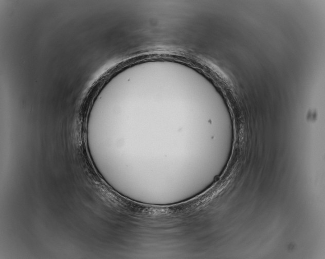 X0000099941310200806201111