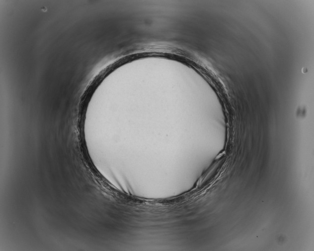X0000099941312200806201111