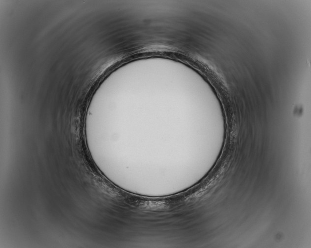 X0000099941313200806201111