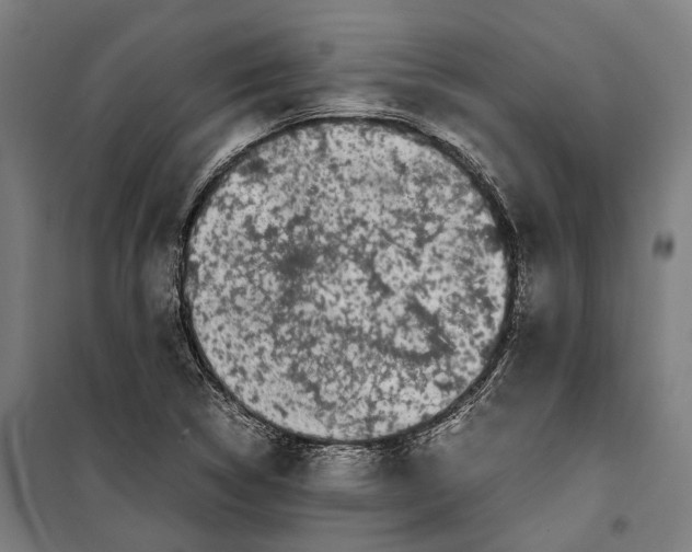 X0000099941314200806201111