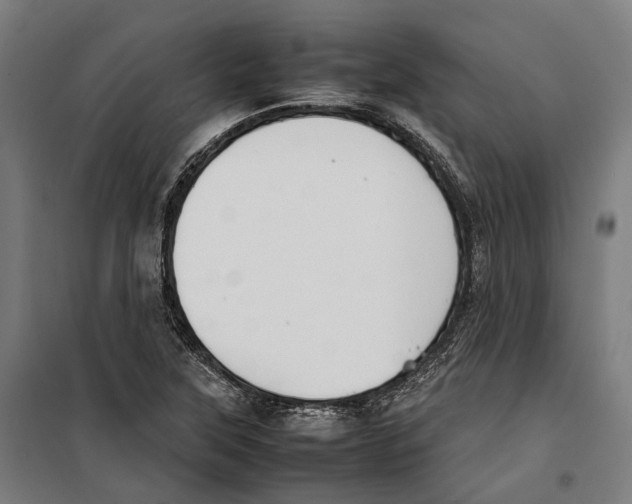 X0000099941315200806201111