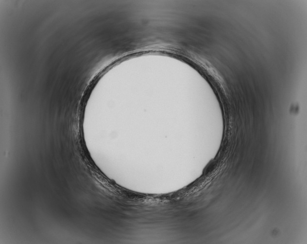 X0000099941316200806201111