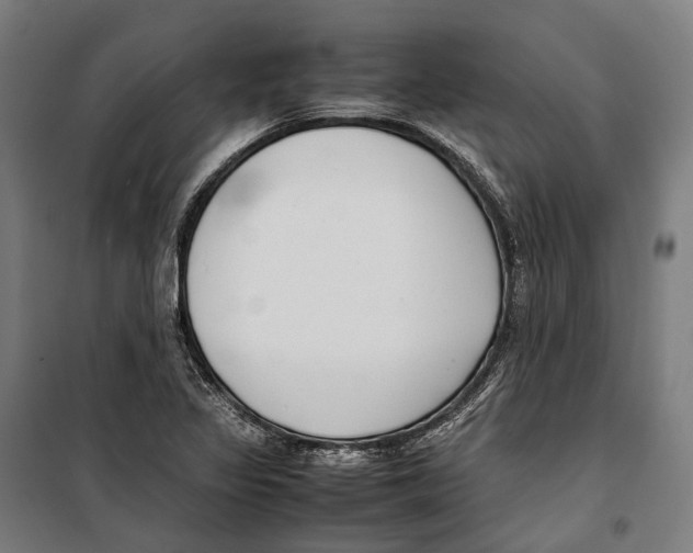 X0000099941317200806201111