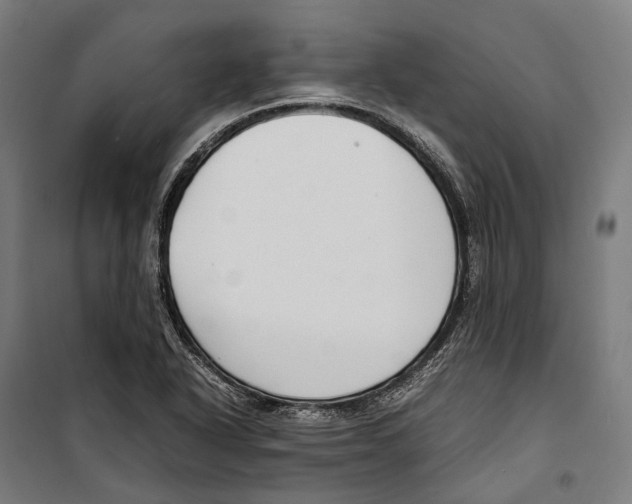 X0000099941318200806201111