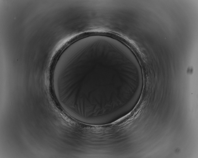 X0000099941319200806201111