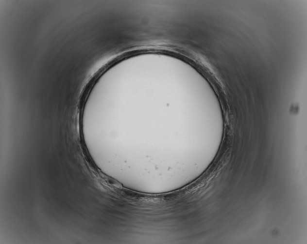 X0000099941320200806201111