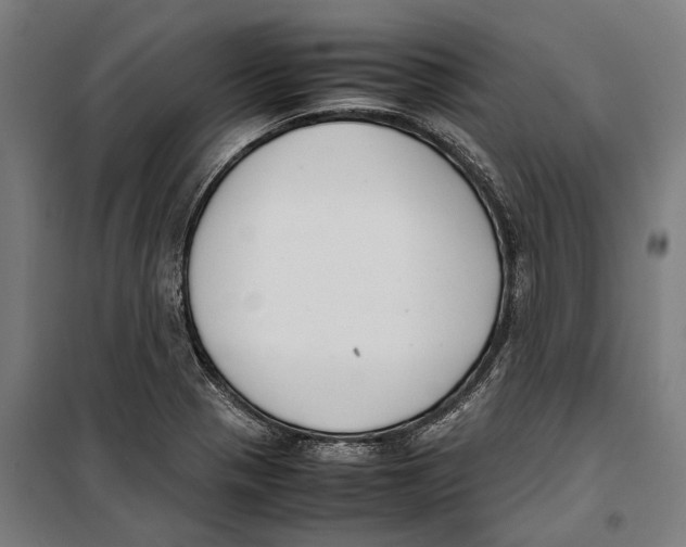 X0000099941321200806201111