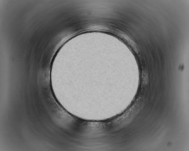 X0000099941322200806201111