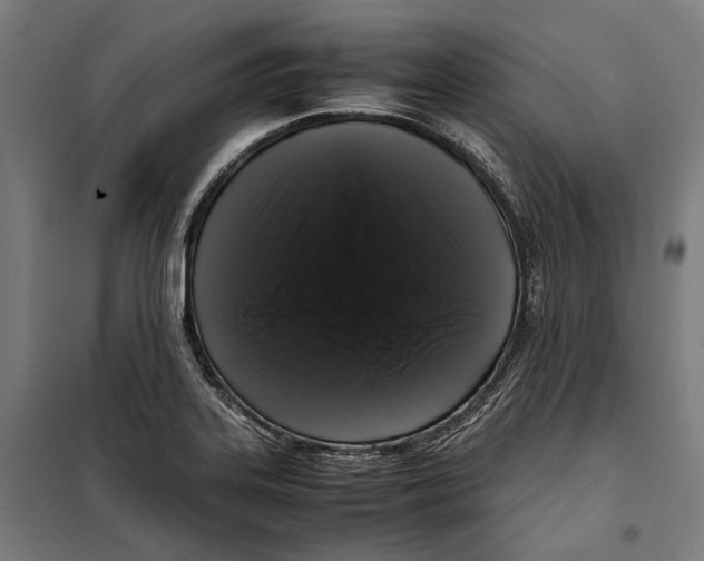 X0000099941323200806201111