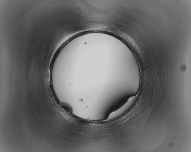 X0000099941324200806201111