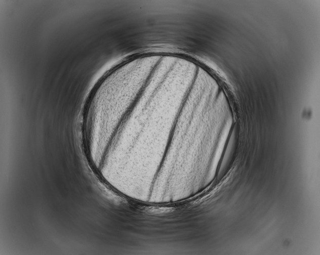X0000099941325200806201111