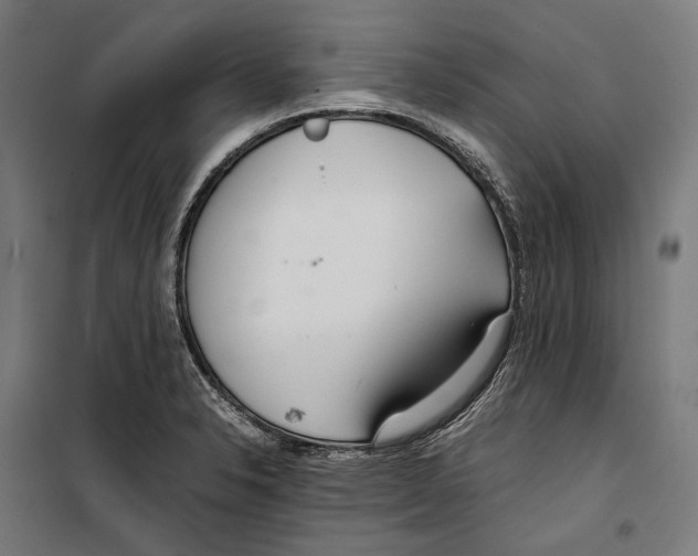 X0000099941326200806201111