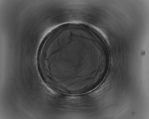 X0000099941327200806201111