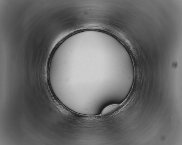 X0000099941328200806201111