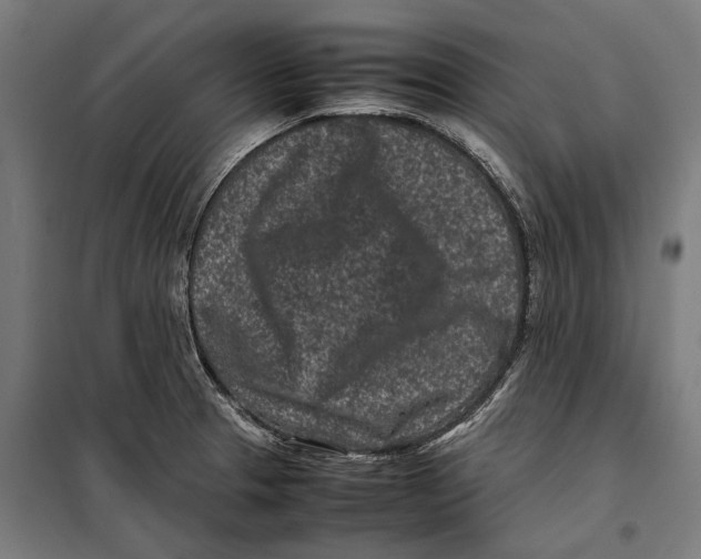X0000099941329200806201111