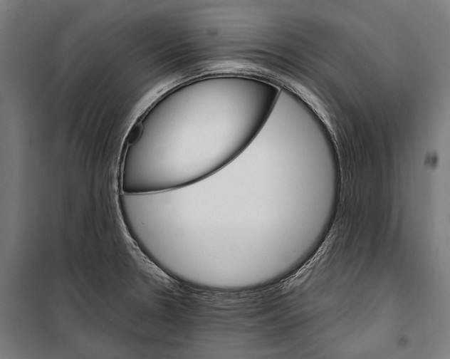 X0000099941330200806201111