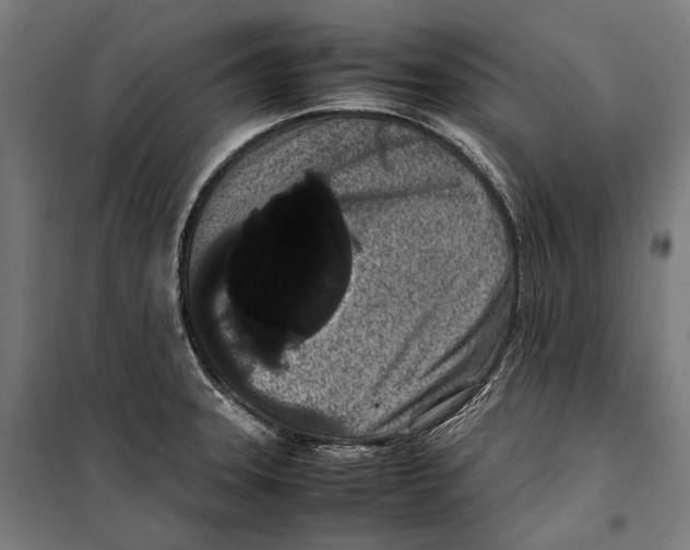 X0000099941331200806201111