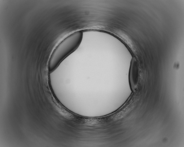 X0000099941332200806201111