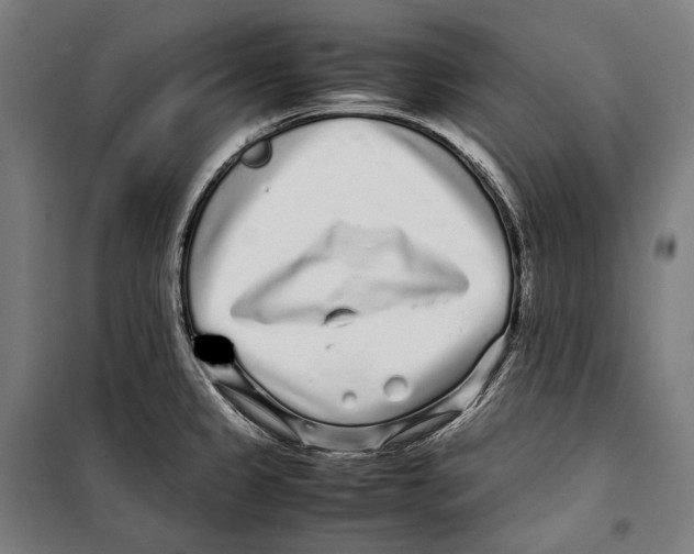 X0000099941333200806201111