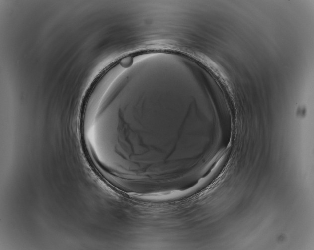 X0000099941334200806201111