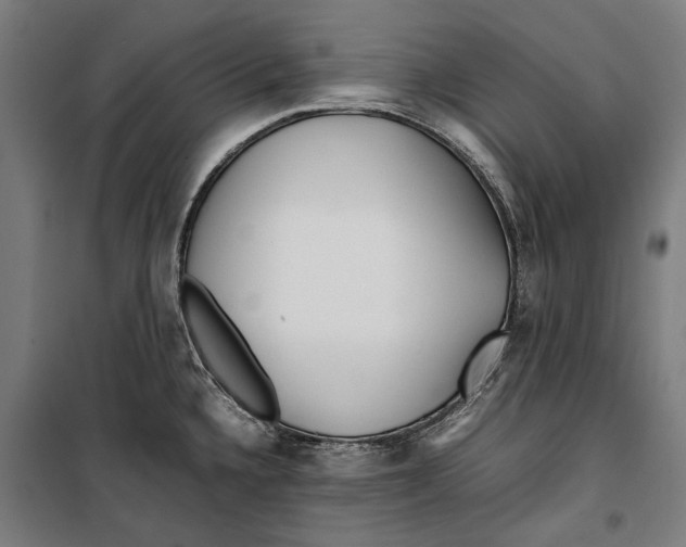 X0000099941336200806201111
