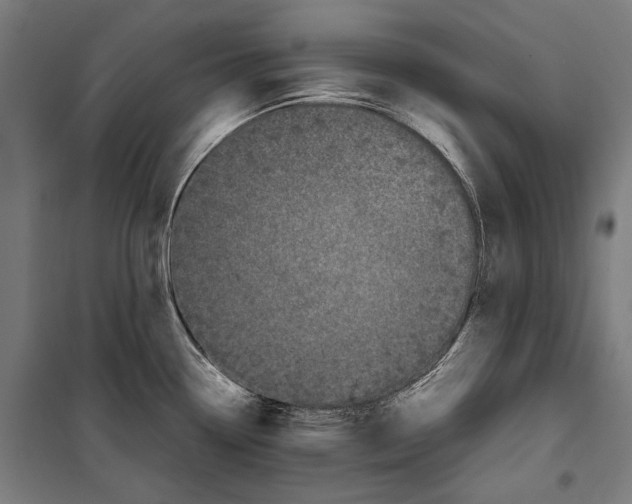X0000099941338200806201111