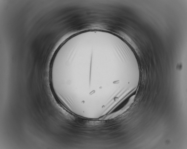 X0000099941339200806201111