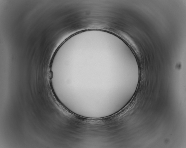 X0000099941340200806201111