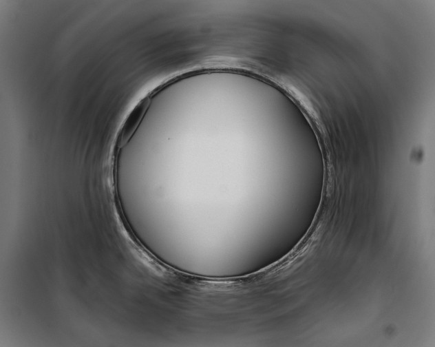 X0000099941342200806201111