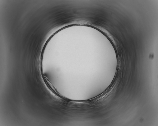 X0000099941343200806201111