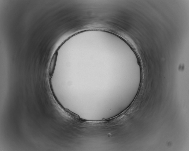 X0000099941344200806201111