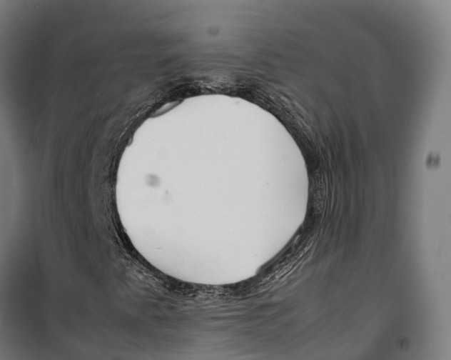 X0000099941345200806201111