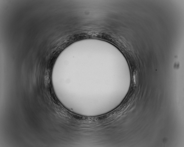 X0000099941347200806201111