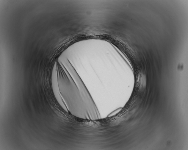 X0000099941348200806201111