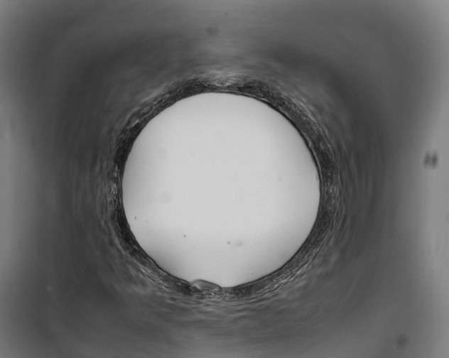 X0000099941349200806201111