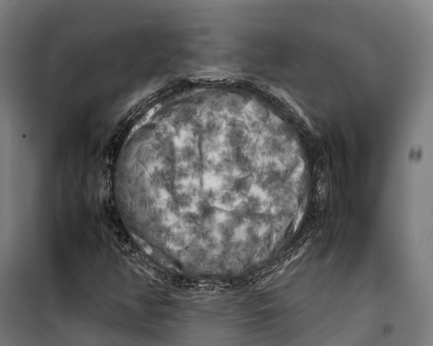 X0000099941350200806201111