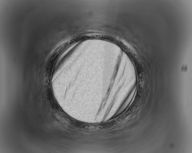 X0000099941351200806201111