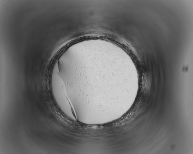 X0000099941352200806201110