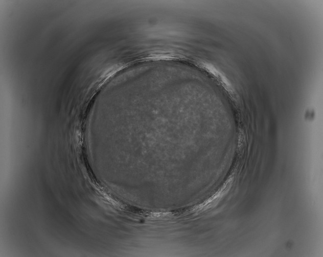 X0000099941353200806201110