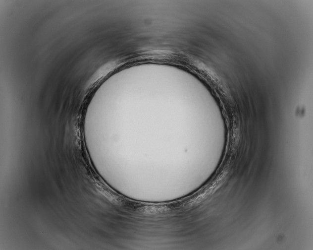X0000099941354200806201110