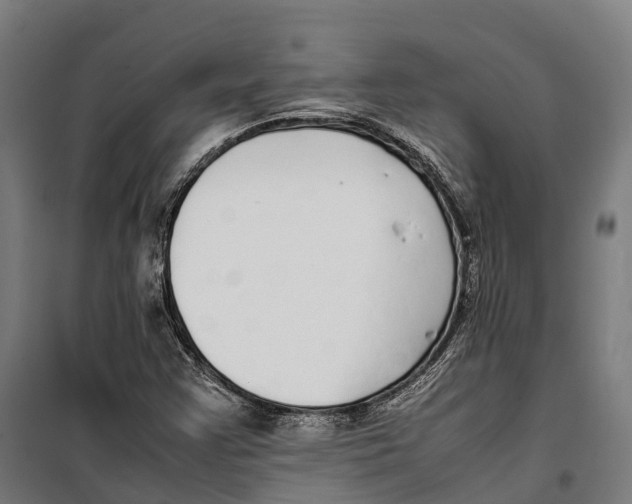 X0000099941355200806201110