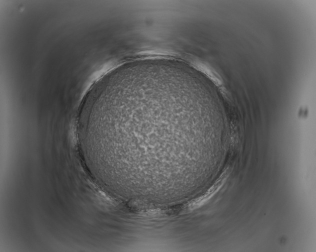 X0000099941357200806201110