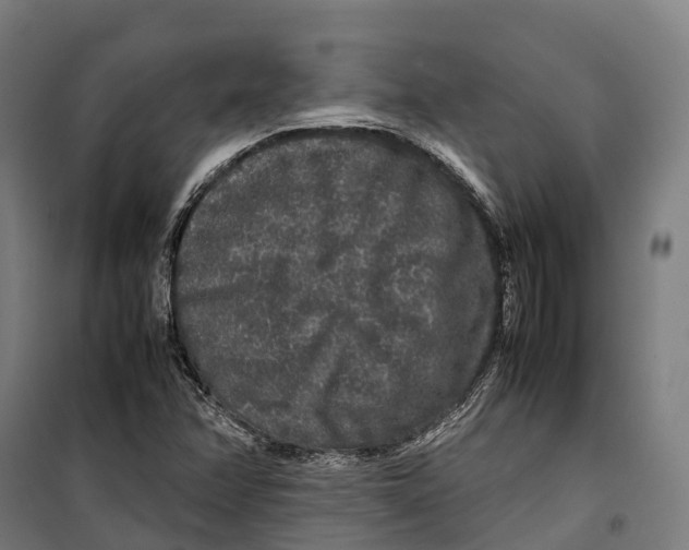 X0000099941358200806201110