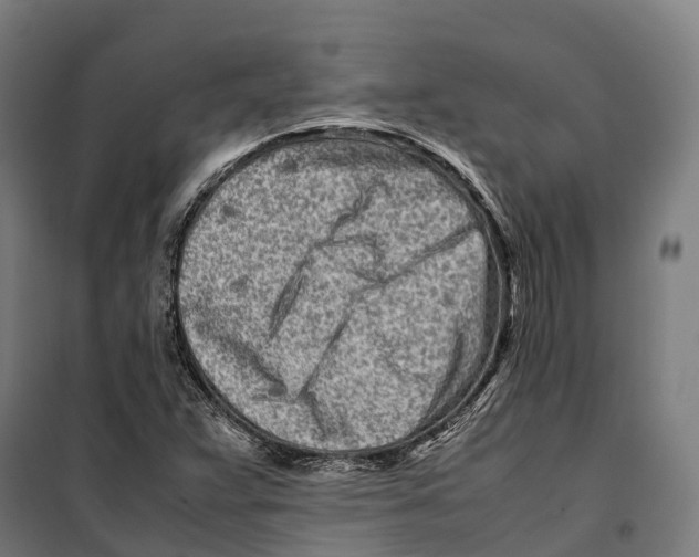 X0000099941359200806201110